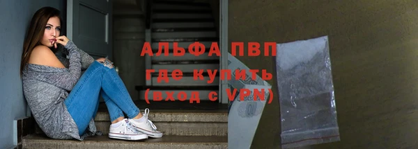 крисы Алзамай