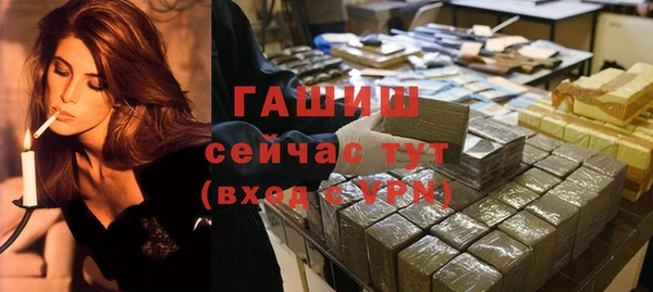 крисы Алзамай