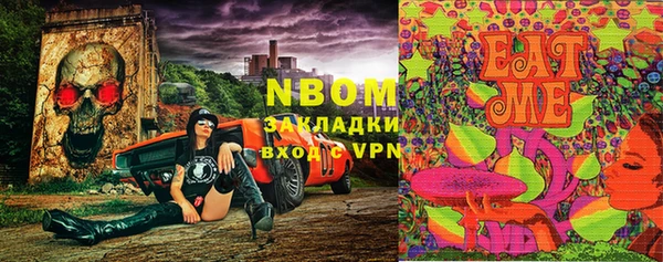 крисы Алзамай